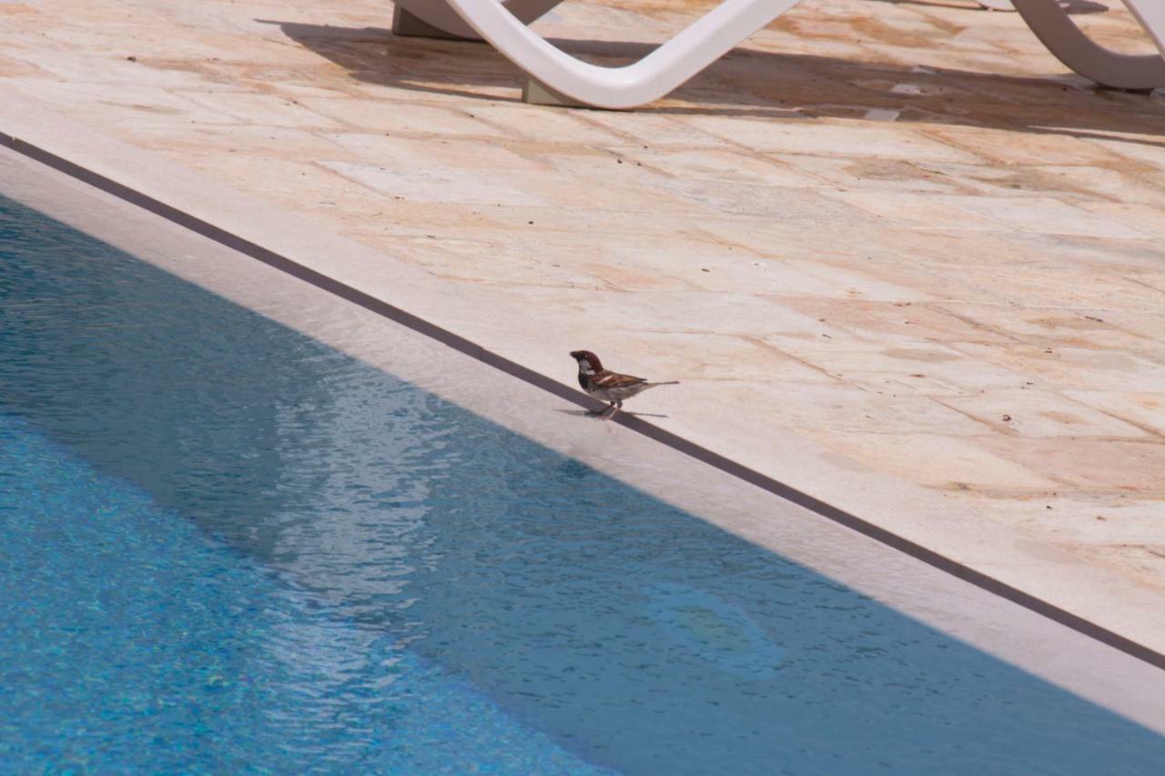 ナルド Casale Salento Bed & Breakfast エクステリア 写真