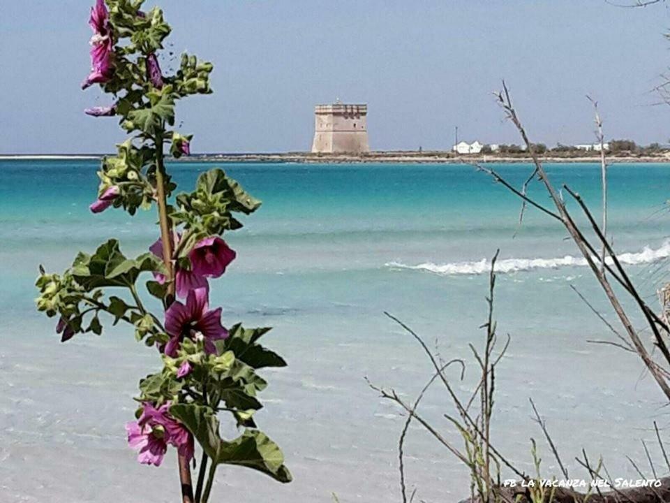 ナルド Casale Salento Bed & Breakfast エクステリア 写真